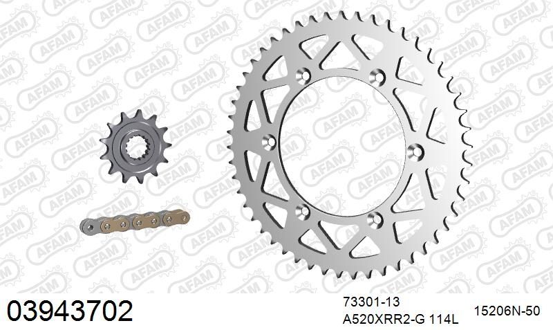 520XRR3 114 ARS (CLIP) GOLD & SPROCKETS