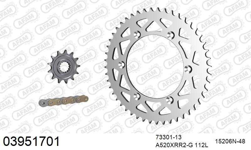 520XRR3 112 ARS (CLIP) GOLD & SPROCKETS