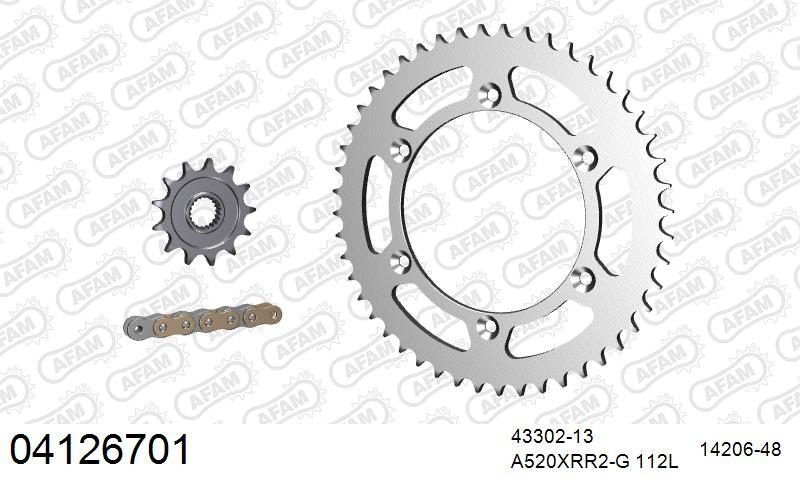 520XRR3 112 ARS (CLIP) GOLD & SPROCKETS