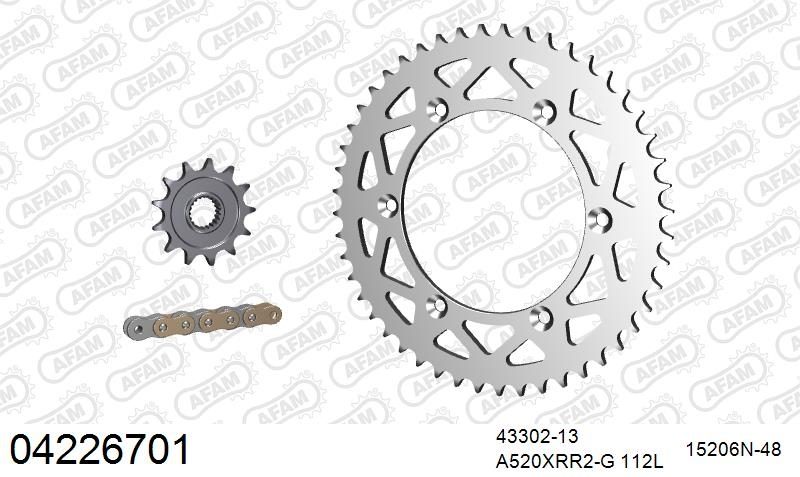 520XRR3 112 ARS (CLIP) GOLD & SPROCKETS