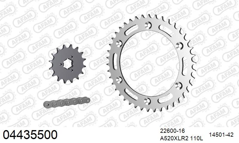 520XRR3 110 ARS (CLIP) GOLD & SPROCKETS