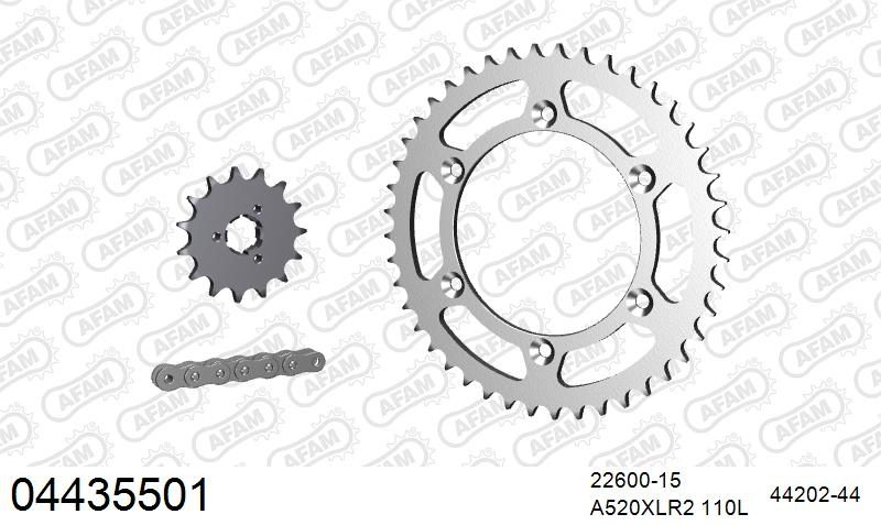520XRR3 110 ARS (CLIP) GOLD & SPROCKETS