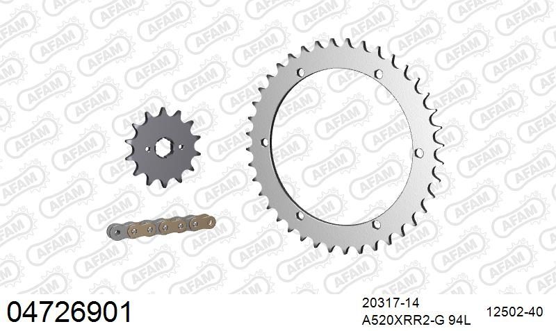 520XRR3 94 ARS (CLIP) GOLD & SPROCKETS
