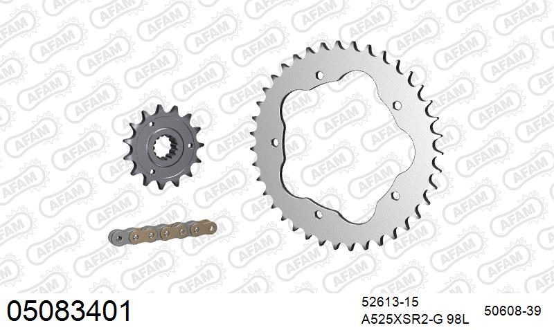 525XSR2 98 MRS (RIVET) GOLD & SPROCKETS