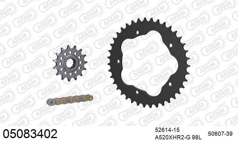 520XHR2 98 MRS (RIVET) GOLD & SPROCKETS