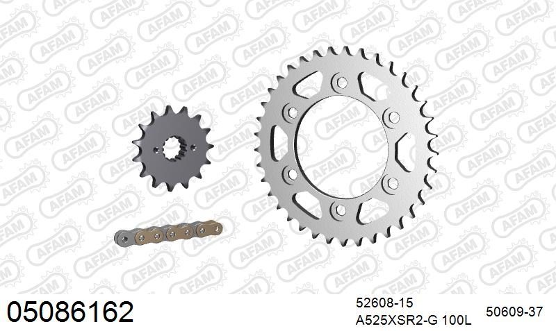 525XSR2 100 MRS (RIVET) GOLD & SPROCKETS
