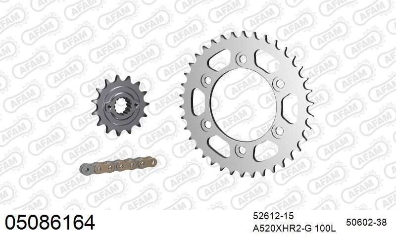 520XHR2 100 MRS (RIVET) GOLD & SPROCKETS