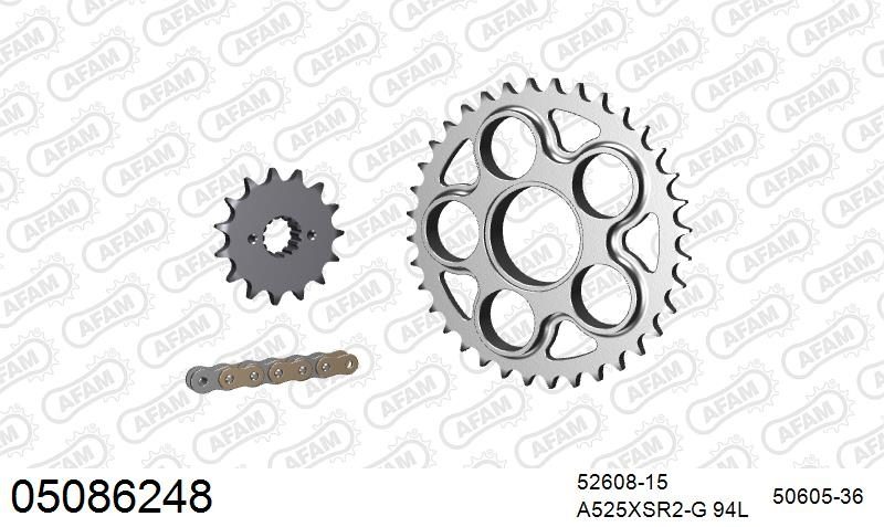 525XSR2 94 MRS (RIVET) GOLD & SPROCKETS