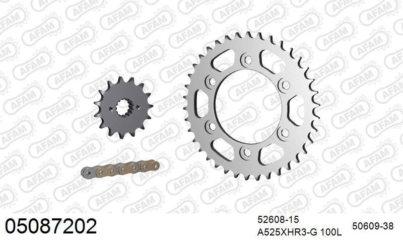 525XHR3 100 MRS (RIVET) GOLD & SPROCKETS