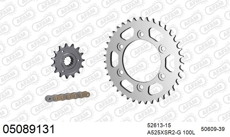 525XSR2 100 MRS (RIVET) GOLD & SPROCKETS