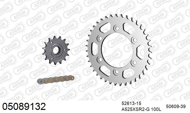 525XSR2 100 MRS (RIVET) GOLD & SPROCKETS