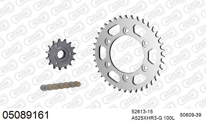 525XHR3 100 MRS (RIVET) GOLD & SPROCKETS