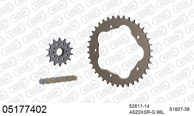 520XSR 96 MRS (RIVET) GOLD & SPROCKETS