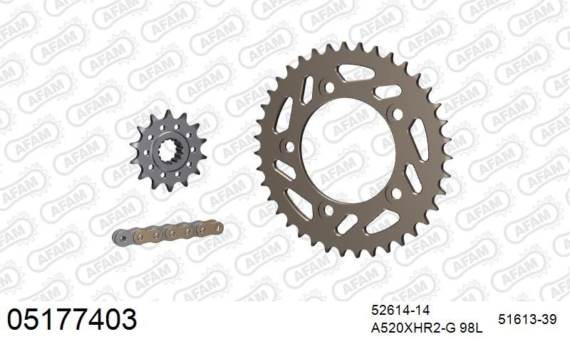 520XHR2 98 MRS (RIVET) GOLD & SPROCKETS