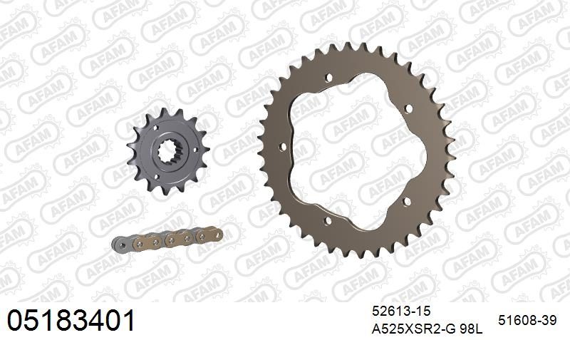 525XSR2 98 MRS (RIVET) GOLD & SPROCKETS