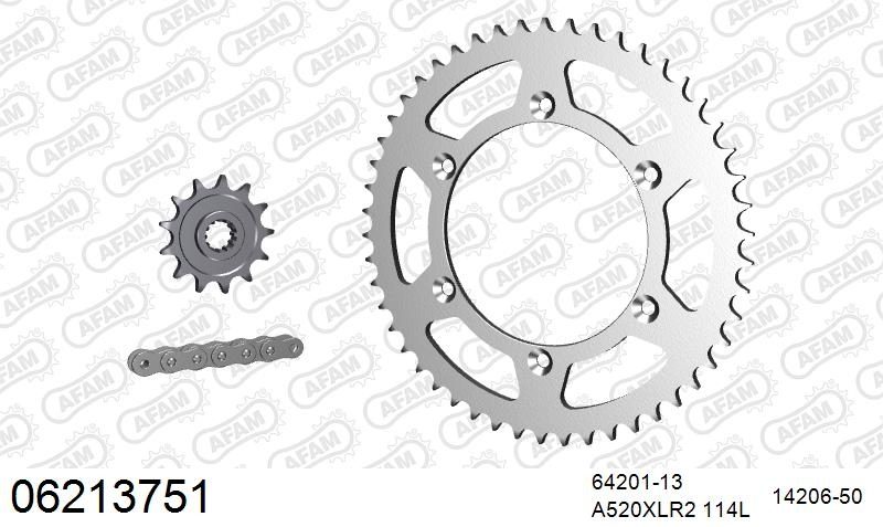520XRR3 112 ARS (CLIP) GOLD & SPROCKETS