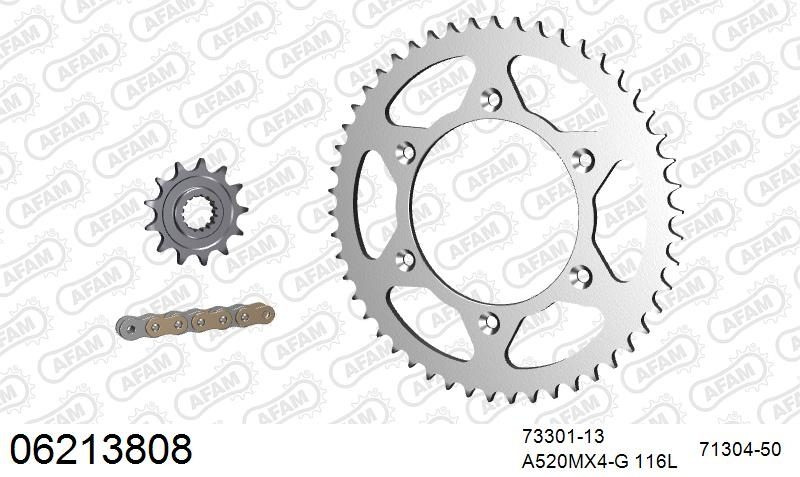 520MR2 118 ARS (CLIP) GOLD & SPROCKETS