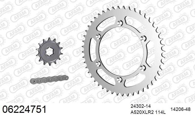 520XRR3 114 ARS (CLIP) GOLD & SPROCKETS