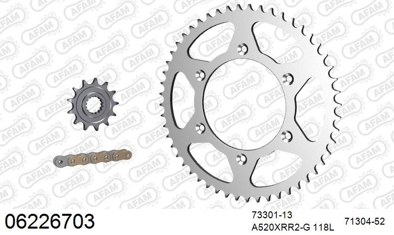 520XRR3 118 ARS (CLIP) GOLD & SPROCKETS
