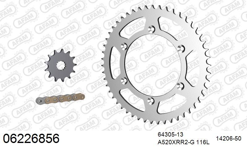 520XRR3 116 ARS (CLIP) GOLD & SPROCKETS