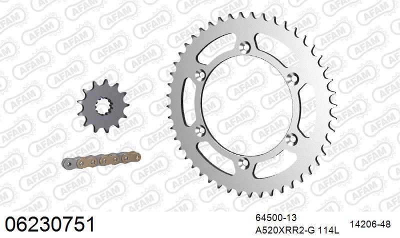 520XRR3 112 ARS (CLIP) GOLD & SPROCKETS