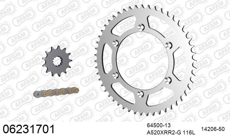 520XRR3 116 ARS (CLIP) GOLD & SPROCKETS