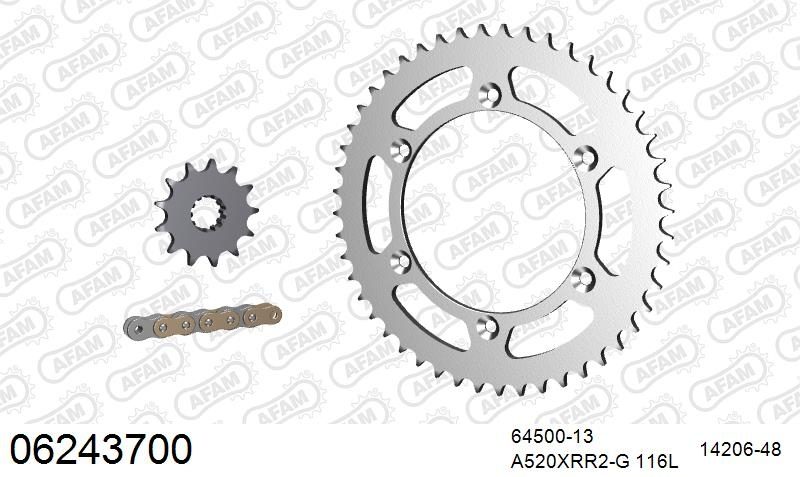 520XRR3 116 ARS (CLIP) GOLD & SPROCKETS