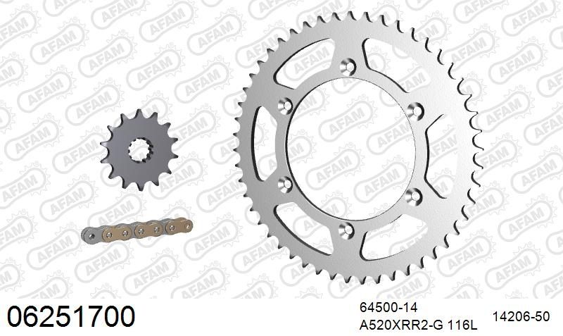 520XRR3 116 ARS (CLIP) GOLD & SPROCKETS