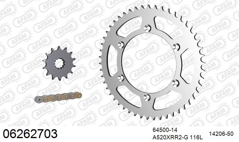 520XRR3 116 ARS (CLIP) GOLD & SPROCKETS