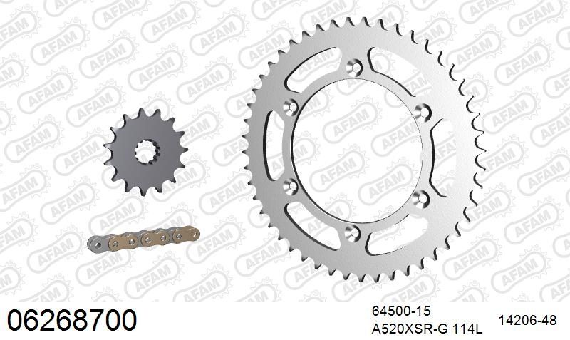 520XRR3 114 ARS (CLIP) GOLD & SPROCKETS