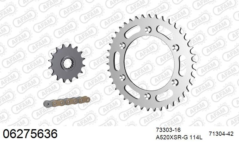 520XSR 118 MRS (RIVET) GOLD & SPROCKETS