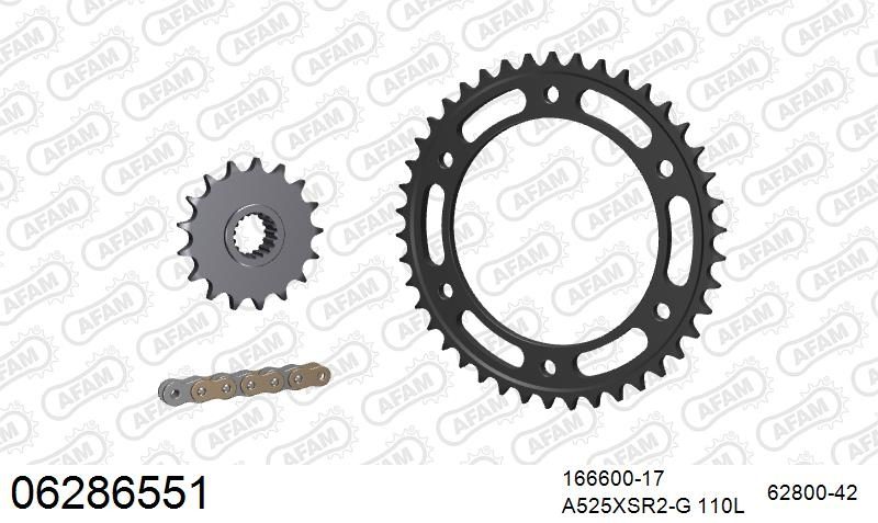 525XSR2 110 MRS (RIVET) GOLD & SPROCKETS