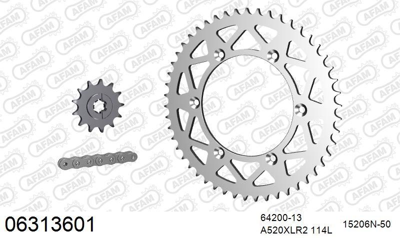520XRR3 114 ARS (CLIP) GOLD & SPROCKETS