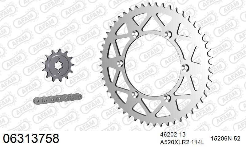 520XRR3 114 ARS (CLIP) GOLD & SPROCKETS
