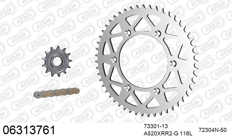 520XRR3 116 ARS (CLIP) GOLD & SPROCKETS