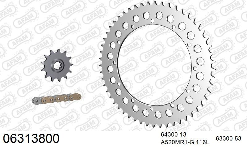 520MR2 116 ARS (CLIP) GOLD & SPROCKETS