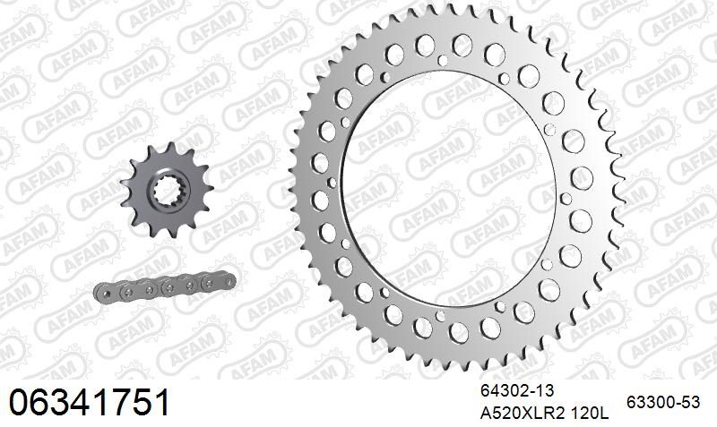 520XRR3 120 ARS (CLIP) GOLD & SPROCKETS