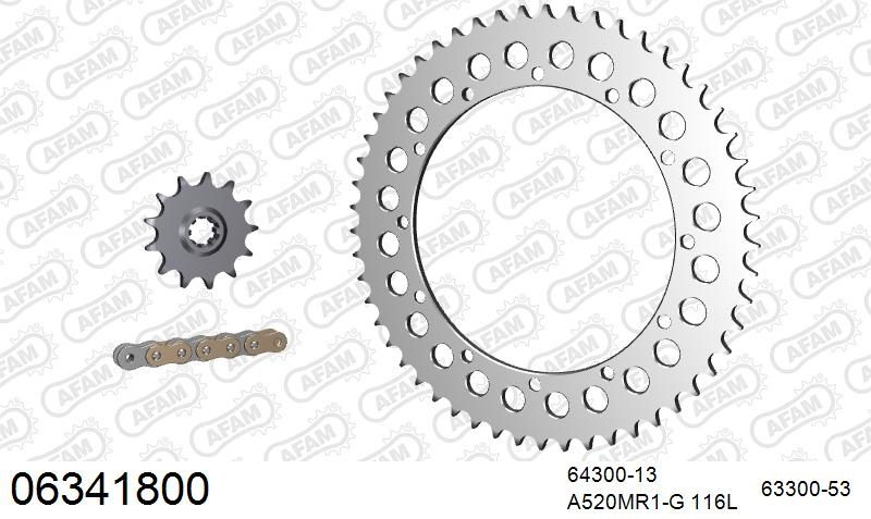 520MR2 116 ARS (CLIP) GOLD & SPROCKETS