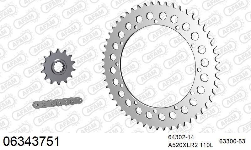520XRR3 110 ARS (CLIP) GOLD & SPROCKETS