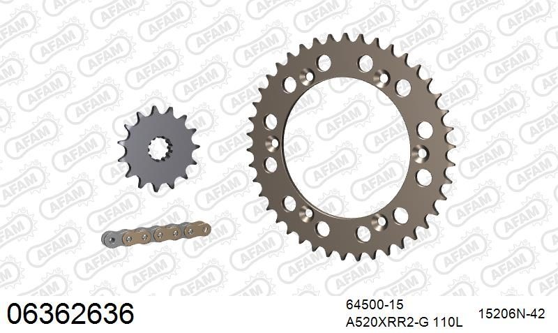 520XRR3 110 ARS (CLIP) GOLD & SPROCKETS