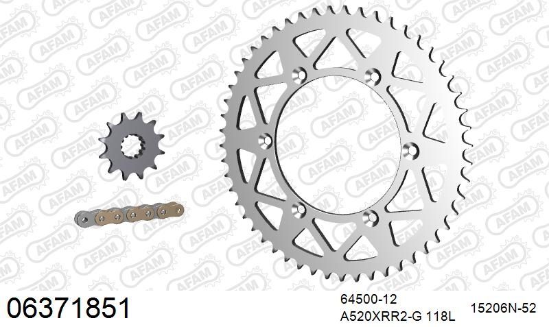 520XRR3 118 ARS (CLIP) GOLD & SPROCKETS