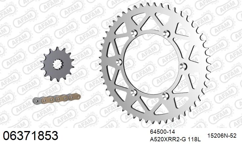 520XRR3 118 ARS (CLIP) GOLD & SPROCKETS