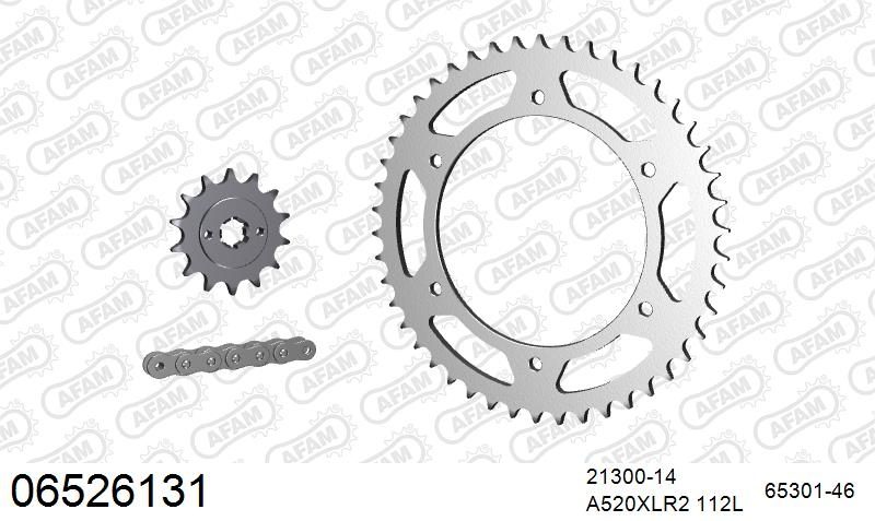 520XRR3 112 ARS (CLIP) GOLD & SPROCKETS