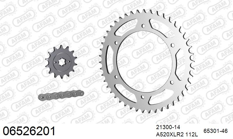 520XRR3 112 ARS (CLIP) GOLD & SPROCKETS