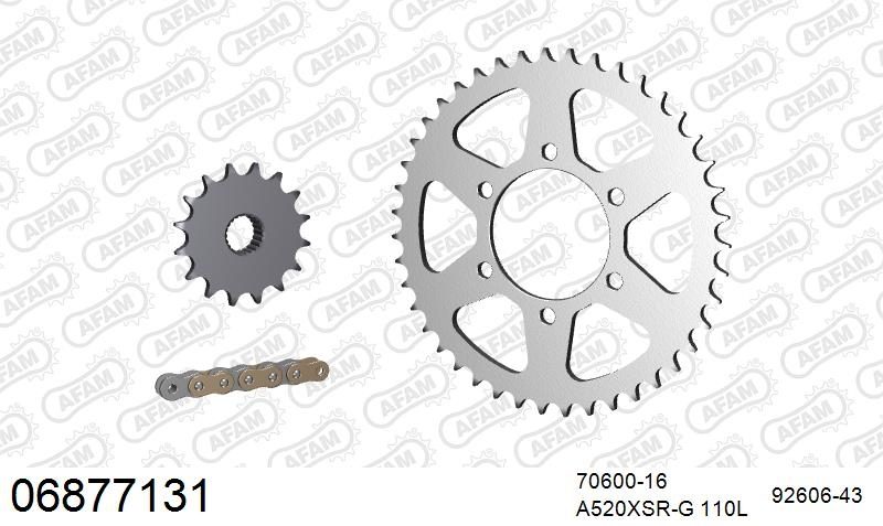 520XSR 110 MRS (RIVET) GOLD & SPROCKETS