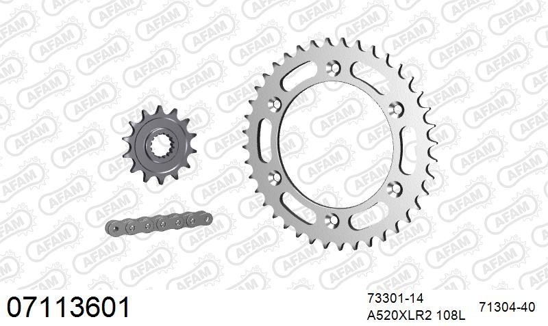 520XRR3 108 ARS (CLIP) GOLD & SPROCKETS