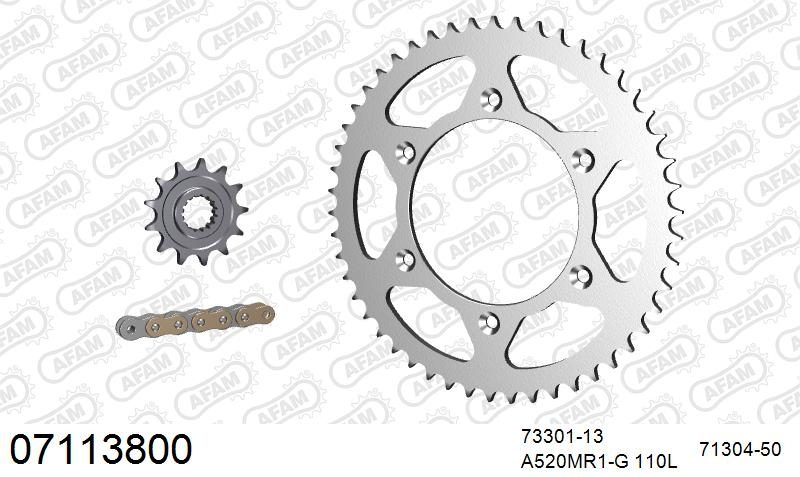 520MR2 110 ARS (CLIP) GOLD & SPROCKETS