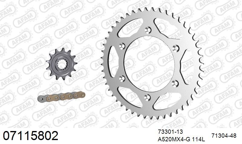 520MR2 118 ARS (CLIP) GOLD & SPROCKETS