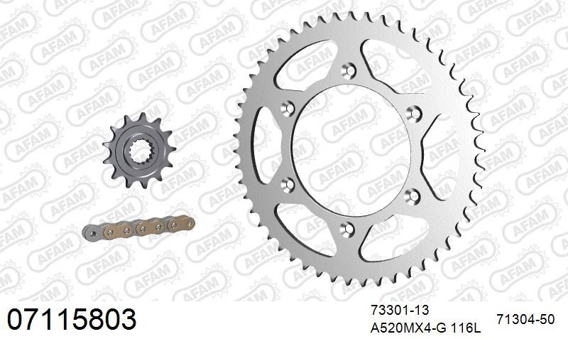 520MR2 118 ARS (CLIP) GOLD & SPROCKETS