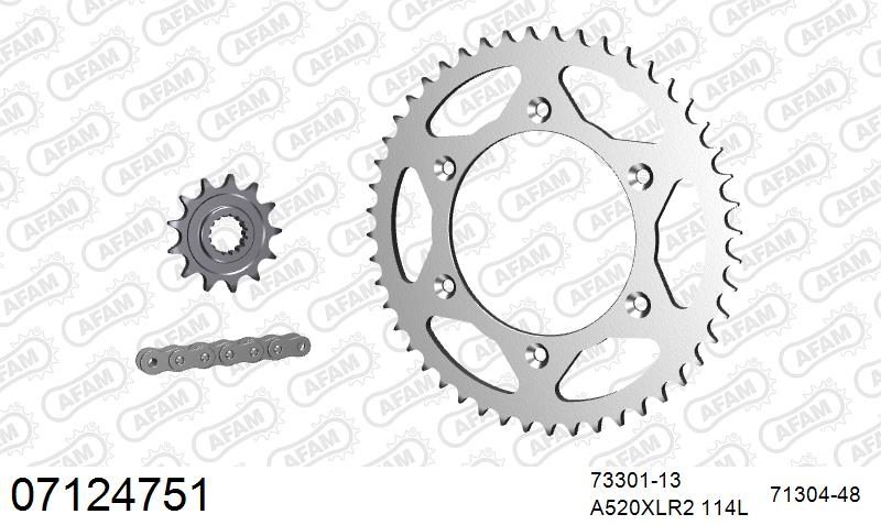 520XRR3 114 ARS (CLIP) GOLD & SPROCKETS